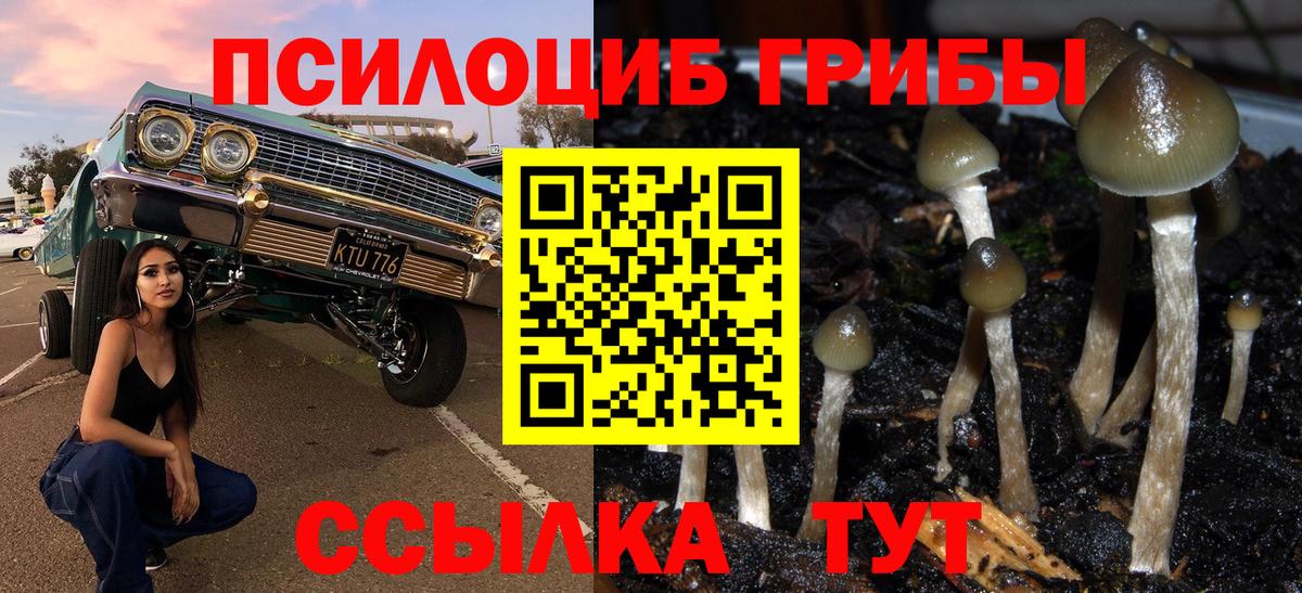 Каменск-Шахтинский  Галлюциногенные грибы Magic Shrooms  Вход с VPN 
