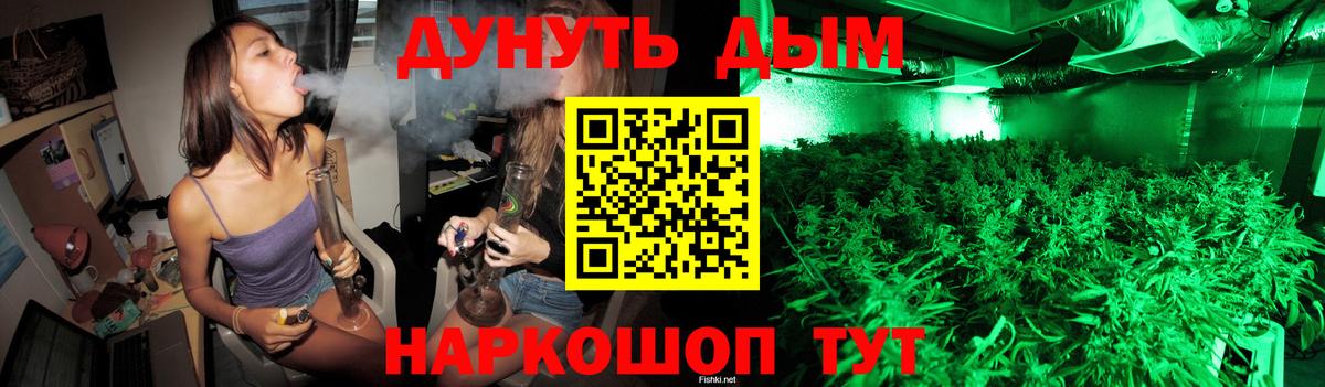 МАРИХУАНА сатива Каменск-Шахтинский